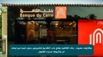وظائف مميزة.. بنك القاهرة يفتح باب التقديم للخريجين بدون خبرة عبر لينكد إن وشروط جديدة للقبول